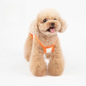 Schattige Zomer Dierenkleding Hond Slabbetje Shirt Met Fruitprint - Product Image 3