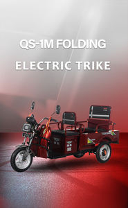 Tricycle Électrique Ouvert pour Adultes, Scooter Électrique à 3 Roues avec Grande Capacité de Bagages, Vélo Électrique avec Remorques - Product Image 5