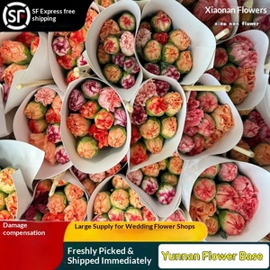 Bouquet <span class=keywords><strong>de</strong></span> <span class=keywords><strong>fleurs</strong></span> fraîches coupées Carnation, livraison directe pour la Fête des Mères et la Fête des Enseignants, usage domestique - Product Image 2