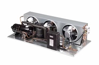 Unidad Condensadora R404a de 1.5HP, Enfriador de Agua Móvil para Restaurantes con Motor y Bomba, 220-240V, 1 Año de Garantía