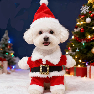 Costume de Noël <span class=keywords><strong>pour</strong></span> animaux de compagnie 3D Cosplay Chapeau de Père Noël Vêtements <span class=keywords><strong>pour</strong></span> chiens Vêtements <span class=keywords><strong>pour</strong></span> chats de Noël - Product Image 1
