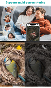 Maison d'oiseau intelligente mangeoire caméra 5MP HD sans fil extérieur maison d'oiseau en bois Wifi avec - Product Image 6