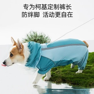 Imperméable Corgi bleu paon violet pour petits et moyens chiens, vêtement d'extérieur imperméable quatre saisons - Product Image 3