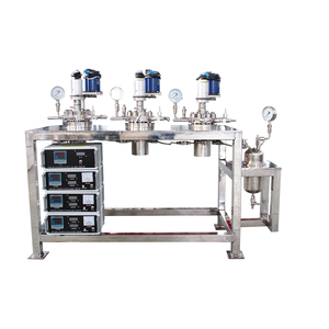 Réacteur CSTR de laboratoire bibo en acier inoxydable 316 (Cuve de réaction) avec moteur et chauffage intégrés - Product Image 2