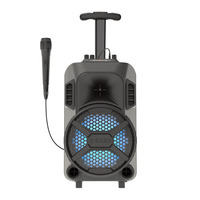 Enceinte Bluetooth pour fêtes, 20W, basses puissantes avec lumières DJ, appariement TWS, micro karaoké, 10 heures d'autonomie pour l'extérieur et l'intérieur