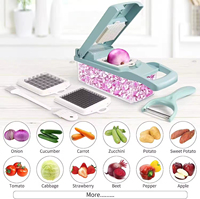 Beste Verkoop Multifunctionele 15 In 1 Fruit Groente Uiensnijder Spotter Spiralisator Shredder Hand Raspen Groente Chopper Cutter