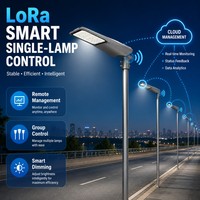 Lampu Jalan LED Luar Ruangan 60W dengan Kontrol Grup Peredupan Cerdas untuk Jalan Raya Kota