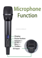 Microphone sans fil à double canal rechargeable Microphone à main sans fil 2.4G avec Echo Treble Bass pour le karaoké Sing