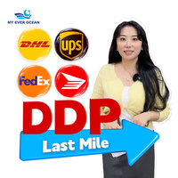 Siempre tarifas de entrega en el océano Ddp Toronto Global Express Logistic Shenzhen Agente de envío Servicio de mensajería de China a EE. UU. Canadá