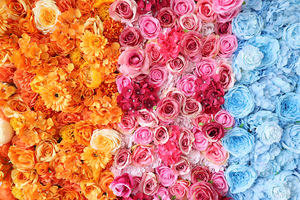 Fondo de Pared de Flores de Arcoíris Especialmente Diseñado para Eventos, Pared de Flores de 8 pies para Decoración de Escenarios de Festivales Fotográficos - Product Image 3