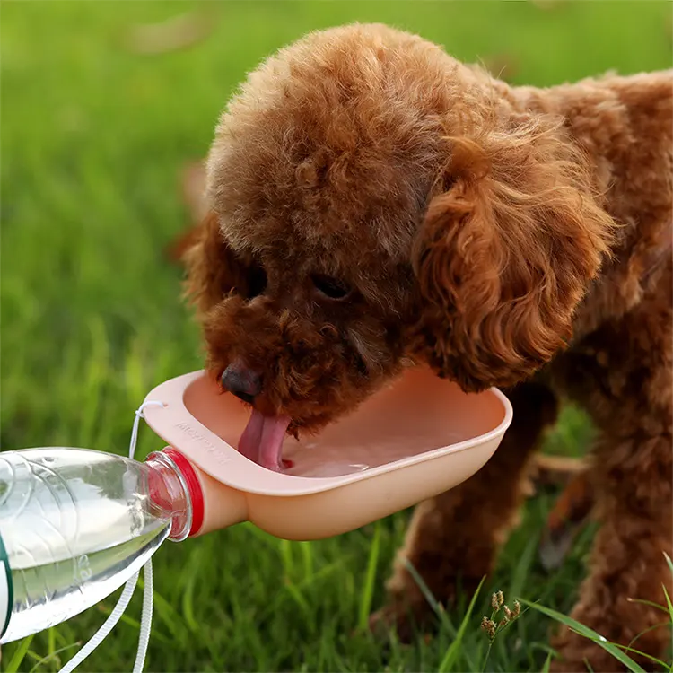 Placa de garrafa de água para animais, alimentador de água único para cães ao ar livre, designer de garrafa de água para cachorros