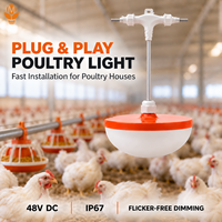 Lampu LED Komersial untuk Peternakan Unggas IP67 Tahan Air 48V DC Plug and Play Bebas Kedip Peredupan Cepat Konektor Cepat Penerangan Kandang Ayam
