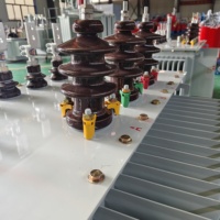 Transformador Trifásico Sumergido en Aceite OEM ODM 10kV 35kV 50/60Hz Diferentes Capacidades para Proyectos de Energía Global