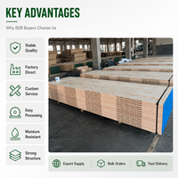 Bois LVL de haute qualité, bois d'érable, pin, eucalyptus, contreplaqué pour la construction et l'emballage