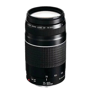 Objectif d'appareil photo d'occasion original en gros à prix abordable, objectif EF-S 75-300mm 1:4-5.6 - Product Image 6