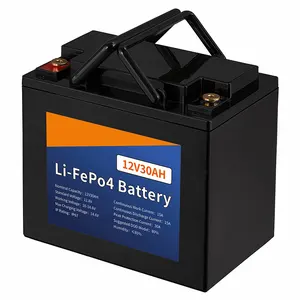 Batterie solaire Rechargeable haute capacité 12V 30ah LiFePO4 Lithium Ion système de stockage d'énergie