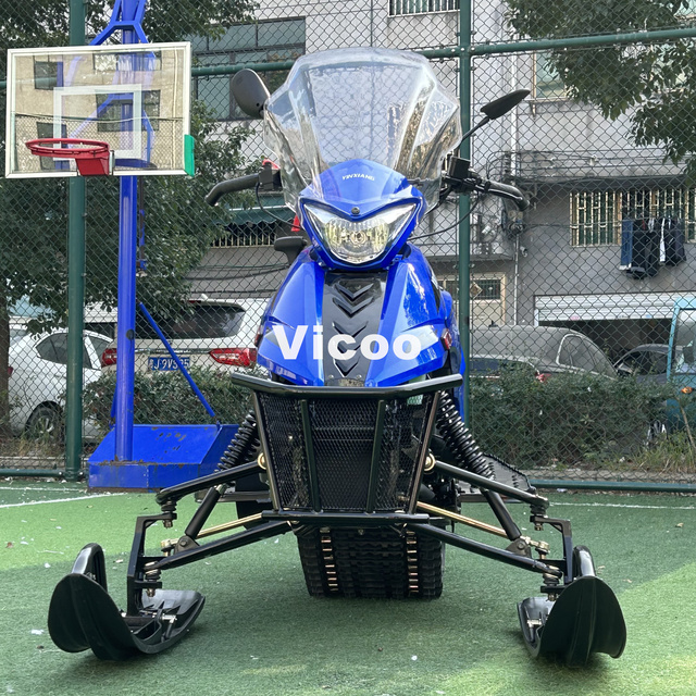 300cc Ski Atv Snowmobile Ski Quad ATV