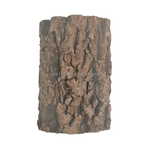 Pet Reptiles Supplies Eco-friendly Sound Absorbing Heat Insulation Vivarium Cork Bark Tiles For Terrariums Reptiles