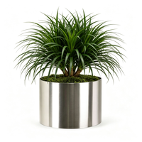 Jardinière cylindrique personnalisée en acier inoxydable brossé, robuste, grande taille, pour intérieur/extérieur