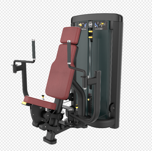 Xinrui Commercial Chest Press/Allenatore per Muscoli Posteriori del Deltoide: Funzioni per i Muscoli del Petto - Product Image 4