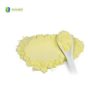 Natürlicher Sophora Japonica Extrakt 98% Quercetin Extrakt Pulver 95% natürliche Masse Großhandels preis Ergänzungen Quercetin Pulver HPLC - Product Image 2