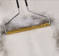 Portable vêtements épilateur ménage vêtements tricots Shaper collant rouleau Reup brosse à cheveux peluches décapant vêtements rasage outil