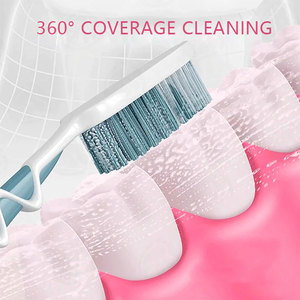 Polvere Sbiancante e Detergente per <span class=keywords><strong>Denti</strong></span> GT PAP all'Ingrosso con Xilitolo e Gusto Menta, Logo Personalizzabile, per Uso Domestico/Clinico - Product Image 4