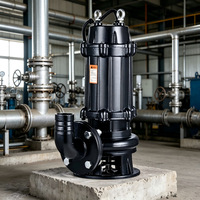 220V Edelstahl-Tauchpumpe 5PS für Keller-Abwassertank, Hausgebrauch, OEM, automatischer Zerkleinerer, Bewässerung, Hochdruck