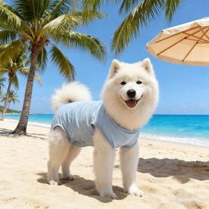 Pet <b>Clothes</b> Breathable Dog <b>Cat</b> Sterilization Suit Summer Wear SMLXLXXL - Product Image 1