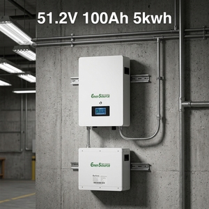 Batería de Litio de 48V 51.2V 100Ah 5kwh para Uso Doméstico y Sistemas, Fabricante OEM ODM con Logotipo Personalizado - Product Image 3