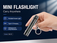 Mini lampe torche LED USB-C EDC avec coque ABS - Étanche, lampe de camping en plein air