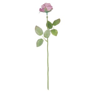Bouquet de roses artificielles à branche unique, fleurs en soie blanches, rouges, roses, violettes, bleues pour la décoration intérieure et la photographie - Product Image 5