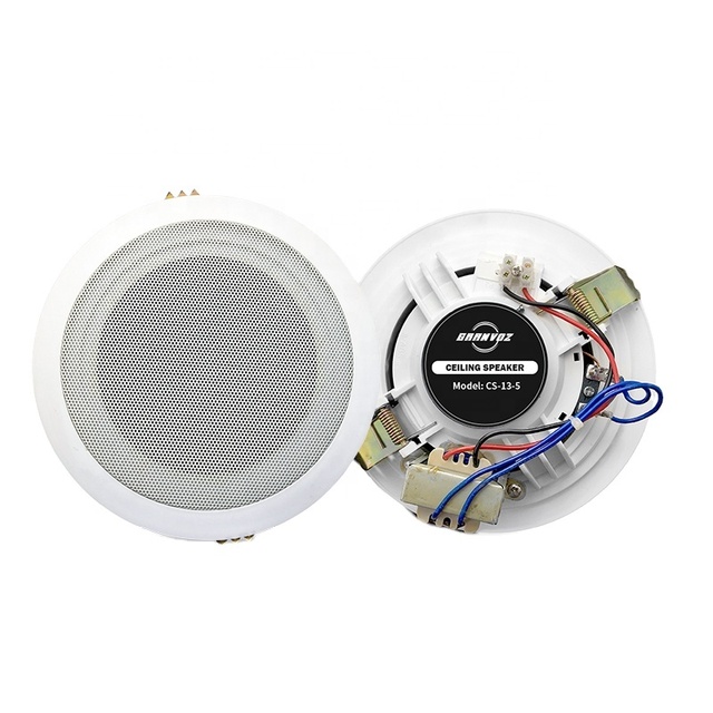 Wholesale New Product ABS case Metal Grill 5 Inch Woofer Speaker 8 Ohms 100V  Home Theater Ceiling Speaker