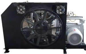 PN-25อุตสาหกรรมลูกสูบอากาศบูสเตอร์ AC ขับเคลื่อนน้ำมันน้อยกว่าการหล่อลื่นระบายความร้อนด้วยอากาศแรงดันสูงที่มีประสิทธิภาพสูง - Product Image 6