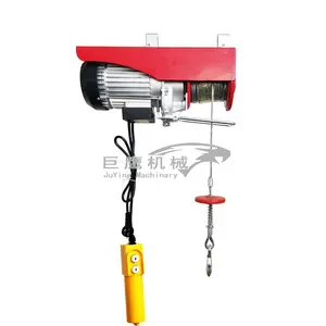 220v 100kg 300kg PA Type portable petit mini palan électrique