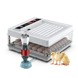 Mini quaglia uso domestico 70 capacità incubatrice automatica per uova di rifornimento dell'acqua per regolatore di umidità della temperatura del pollo