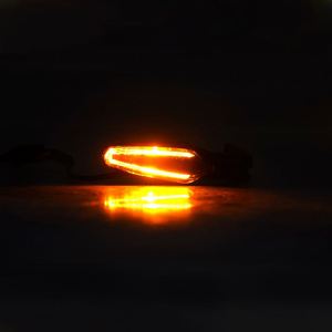 Clignotant arrière LED Yongjin pour <span class=keywords><strong>BMW</strong></span> <span class=keywords><strong>F</strong></span> 750 GS <span class=keywords><strong>F</strong></span> 800 850 <span class=keywords><strong>900</strong></span> GS <span class=keywords><strong>2020</strong></span>-2025 - Product Image 6