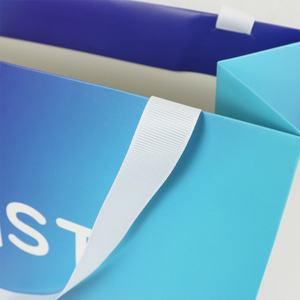 Bolsa de Regalo de Papel Glassine Holográfico Ecológico Crown Win, Tamaño A5, Impresión de Logotipo Personalizado, Reciclable, Biodegradable, Resistente a la Grasa - Product Image 6