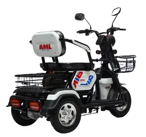 Adults E Trike 3 Wheel Electric Tricycles Cargo Bike Passenger 60V Lead-acid Battery Motorcycle Adult