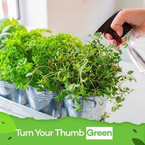 Kit <span class=keywords><strong>de</strong></span> culture <span class=keywords><strong>de</strong></span> plantes d'intérieur avec marqueurs <span class=keywords><strong>de</strong></span> plantes <span class=keywords><strong>en</strong></span> métal, cadeau d'anniversaire pour femmes, vente <span class=keywords><strong>en</strong></span> gros - Product Image 5