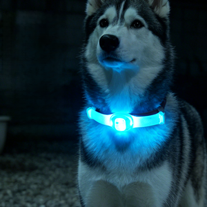 Correa con Luz LED RGB para Collar de Mascotas, Arnés, Colgante para Perro con Luz - Product Image 5