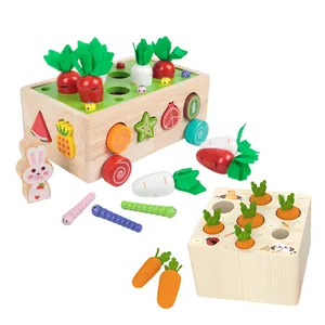 Carotte Montessori multifonctionnelle en bois pour garçon et fille, jeu de tri, jouets éducatifs pour enfants