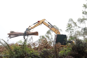 Système hydraulique XUVOL, grappin rotatif pour bûches à commande électronique, attelage de tracteur, grue à bûches, mini pelle, grappin à bois - Product Image 5