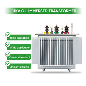 Solarasia Üç Fazlı Dağıtım Trafosu 11KV 80kva Yağlı Tip Trafo Fabrika Doğrudan Satış Fiyatları - Product Image 2