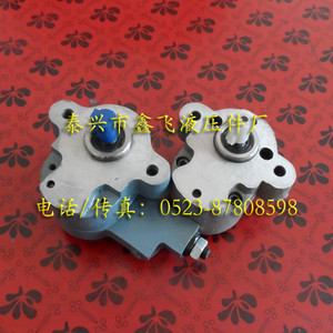 CB-B2.5R B4R B6R B10R B2.5Y B10Y B6Y ปั๊มน้ำมันเกียร์หัวแบนเพลามี lugs - Product Image 2