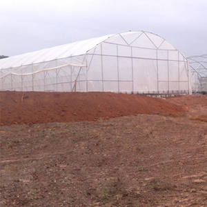 <span class=keywords><strong>Tunnel</strong></span> élevé agricole économique et durable pour une culture efficace - Product Image 2