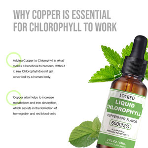 Penjualan laris kustomisasi cairan tetesan klorofil rasa Peppermint suplemen makanan untuk dukungan kekebalan tubuh - Product Image 6