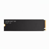 SN7100 1TB 2TB NVMe M.2 SSD PCIe 4.0 X4 Internal Solid State Drive 7250MB/s Kecepatan Tinggi untuk Laptop Gaming PC Desktop
