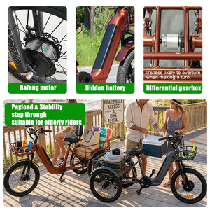 Tricycle Électrique Adulte à Trois Roues avec Panier Avant, Vélo Cargo Électrique 500W Durable <span class=keywords><strong>pour</strong></span> le Transport Urbain et les Courses Familiales - Vente en Gros - Product Image 4