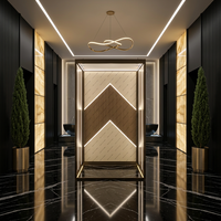 Ascenseur mural en métal brossé sur mesure, cabine d'ascenseur de luxe pour villa, ascenseur domestique, design personnalisé, OEM disponible, décoration